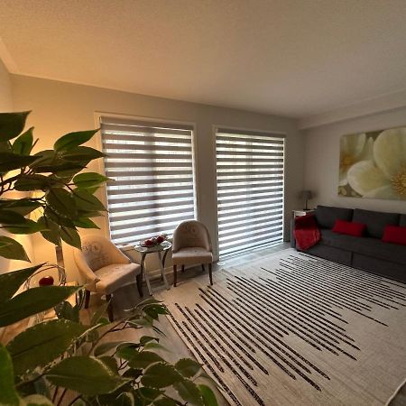 Modern Townhouse, Vaughan, Ontario, Canada エクステリア 写真
