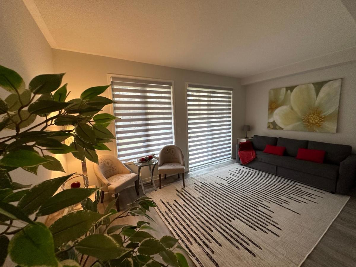 Modern Townhouse, Vaughan, Ontario, Canada エクステリア 写真